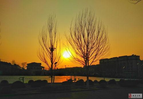 日落家园 第六季,命运交织，爱恨情仇再掀波澜